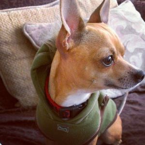 Meet your Posher, Javier